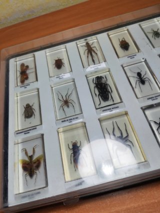 Colección National Geographic