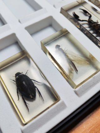 Colección National Geographic