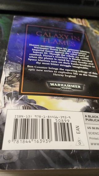 Galaxy in Flames