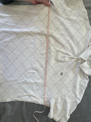 Polo Burberry Beige