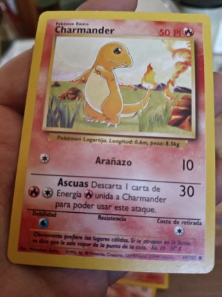 Lote Cartas Pokémon Base Set 1999