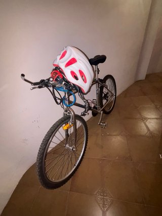 Bicicleta de montaña color plata