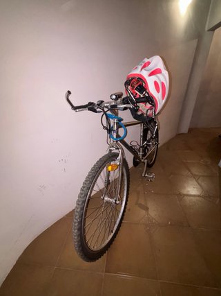 Bicicleta de montaña color plata