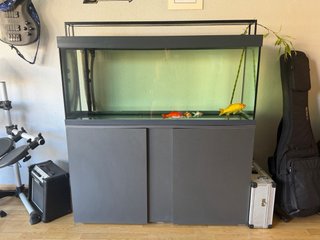 Urna acuario con mueble gris