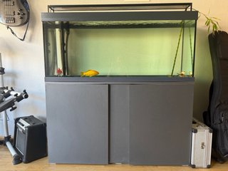Urna acuario con mueble gris
