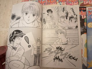 Colección completa comics marmalade boy wataru