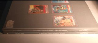 Lote 2 Cómics E.O en Francés.