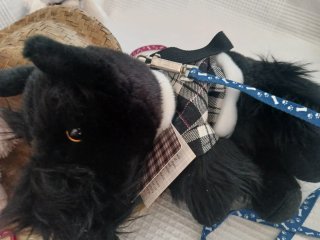 Lote de perritos bolso peluches y accesorios