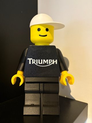 Brick Lego 20cm Triumph