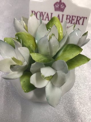 Royal Albert Flor de Mes ENERO