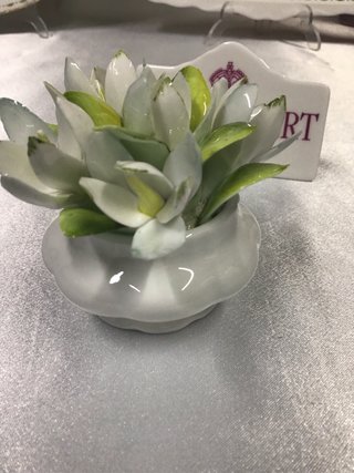 Royal Albert Flor de Mes ENERO