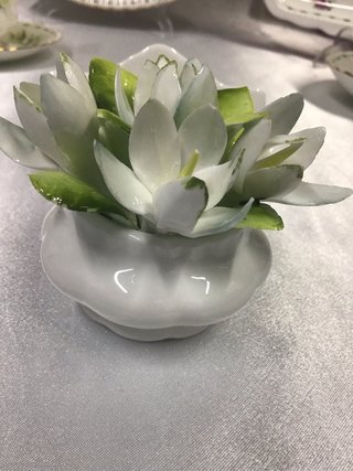 Royal Albert Flor de Mes ENERO