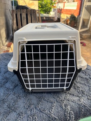 Transportín y arenero para gatos