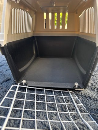 Transportín y arenero para gatos