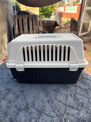 Transportín y arenero para gatos