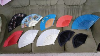 Set di 10 ventagli colorati