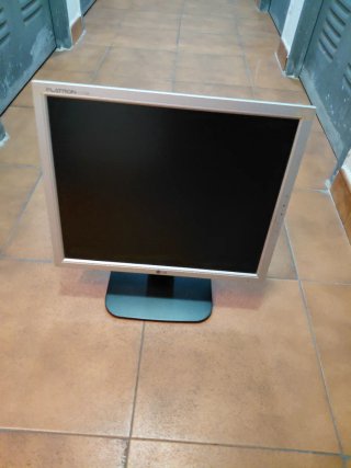Pantalla LG Flatron Plata.