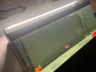 Lámpara Chihiros WRGB2 Slim 120 Acuario