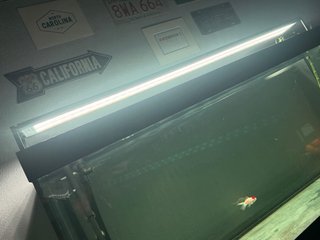 Lámpara Chihiros WRGB2 Slim 120 Acuario
