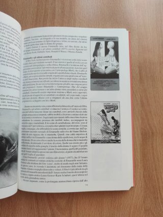 Revista libro Malizie perverse cine erótico italia