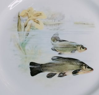 Vajilla de porcelana con peces y flores