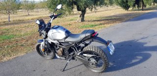 VOGE Naked 300 ACX 2022