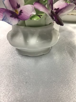 Royal Albert Flower of the Month series FEBRERO