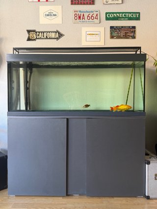 Pack Acuario + Mueble + Filtro + Lámpara