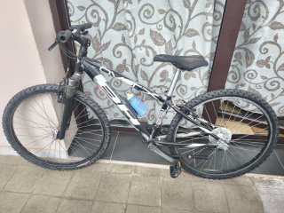 Conjunto 5 Bicicletas o por separado