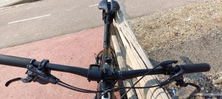 Bicicleta Olympia Carbono