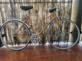 Bicicleta Clásica Naranja Adulto