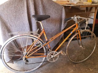 Bicicleta Clásica Naranja Adulto