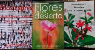 Libros de Antonio Gil Moreno