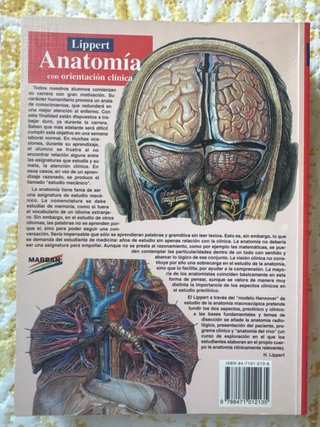 Anatomia con orientación clínica (Lippert)