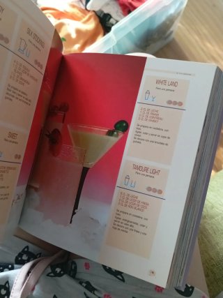 Cócteles (Estilo gourmet)