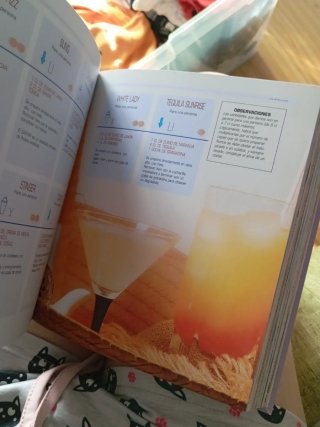 Cócteles (Estilo gourmet)