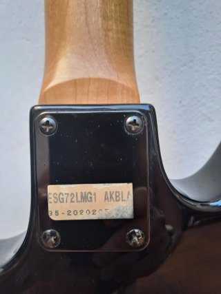 Guitarra Eléctrica Godin Series USA.
