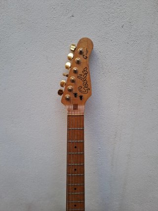 Guitarra Eléctrica Godin Series USA.