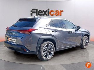 Lexus UX 300e Business