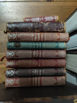 Lote libros clásicos Aguilar Crisol y mas.