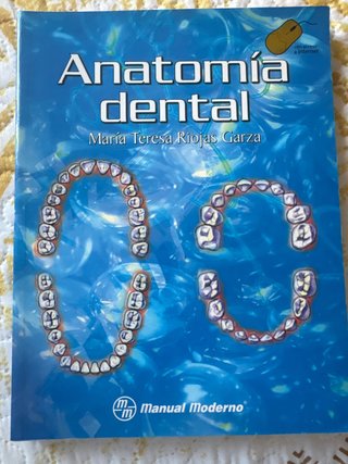 Anatomía dental