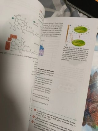 Biología 2º Bachillerato. Libro del estudiante....