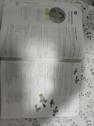 Lengua y Literatura, 2 ESO, TOMO 3, 9788414324394