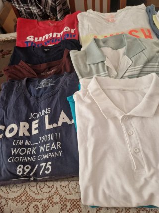 Lote 24 camisetas y Polos XXL por 12 euros