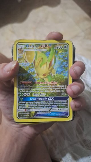 Lote Cartas Pokémon