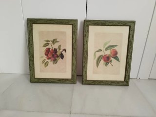 Juego de 2 cuadros de frutas