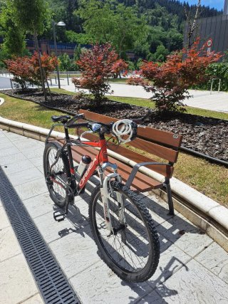 Bicicleta de Montaña Orbea