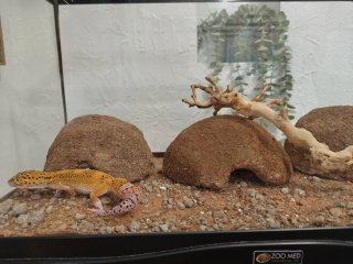 Cueva refugio artesanal para reptiles Talla L