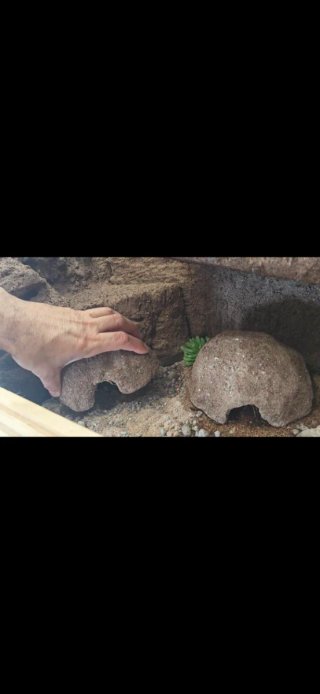 Cueva refugio artesanal para reptiles Talla L