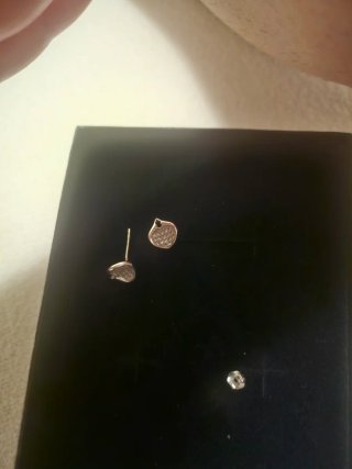 Pendientes Plata Hoja con Cristales